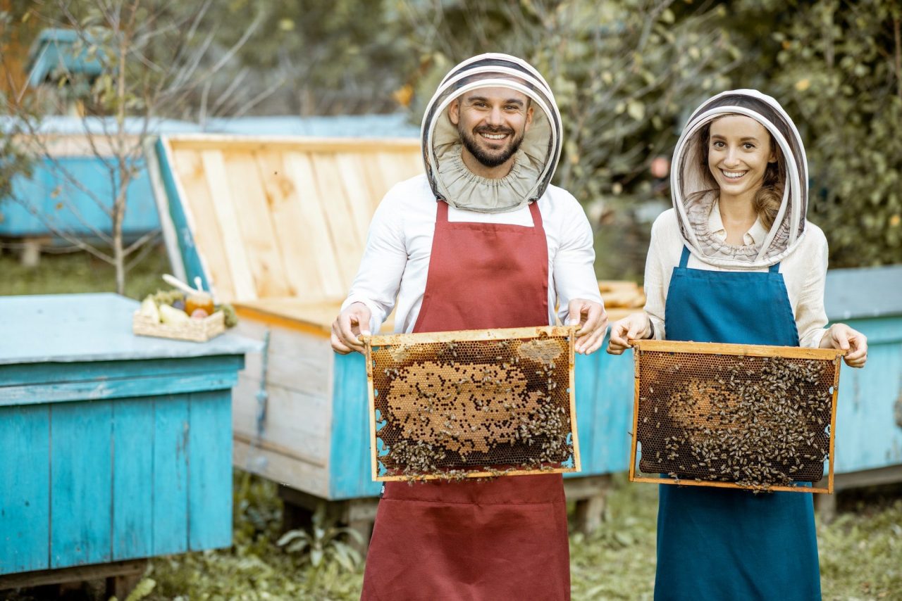 beekepers-with-honeycombs-on-the-apiary-1-e1669359870436.jpg